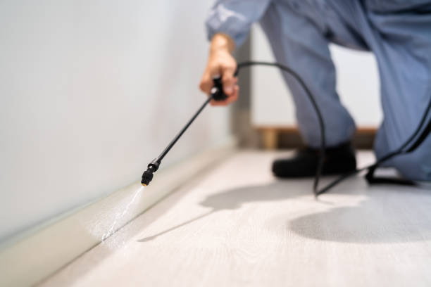 Bed Bug Pre-Treatment Preparation Assessment in Paterson