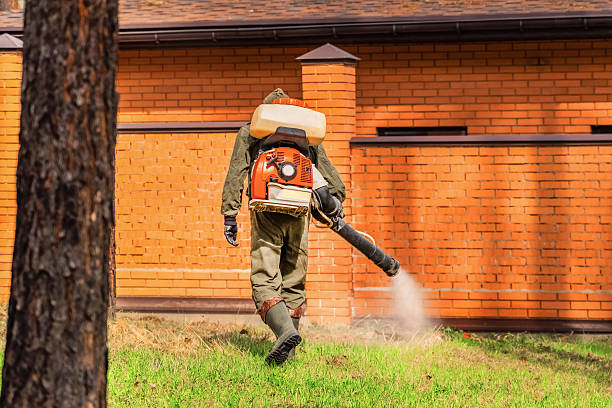 Bed Bug Clearance Verification and Documentation in Paterson